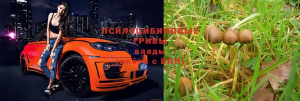 ешки Армянск